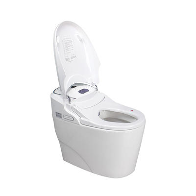 Flush Toilet Smart Heated Toilet Seat Bide Washlet Toilets