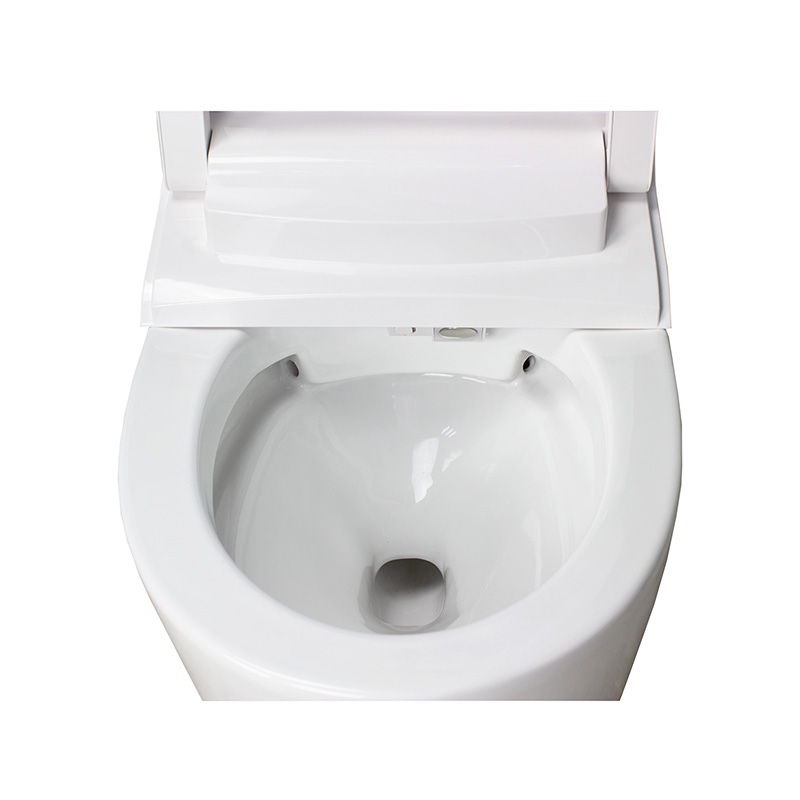 black heated toilet seat