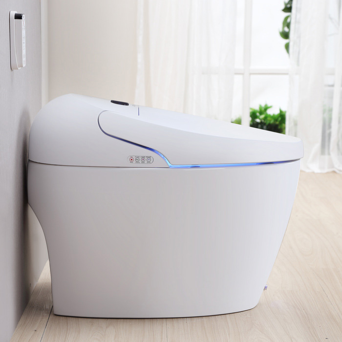 Smart WC Toilet Bidet Toilet Seat Bluetooth BARA920